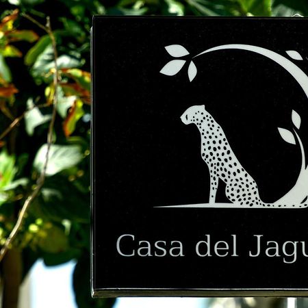 Casa Del Jaguar Beach Hotel Исла-Мухерес Экстерьер фото